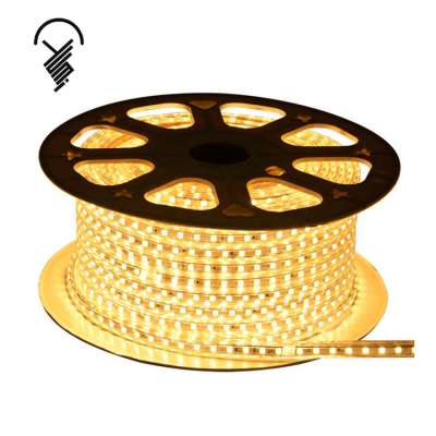 High brightness waterproof IP65 100m/roll outdoor 220v led strip