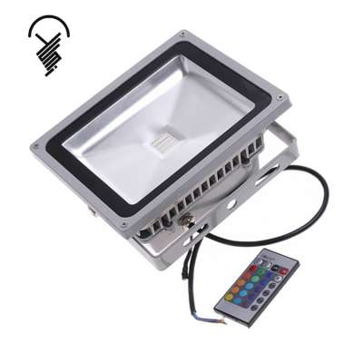 NEW Type Wholesale Remote Control RGB 50W LED outdoor flood light